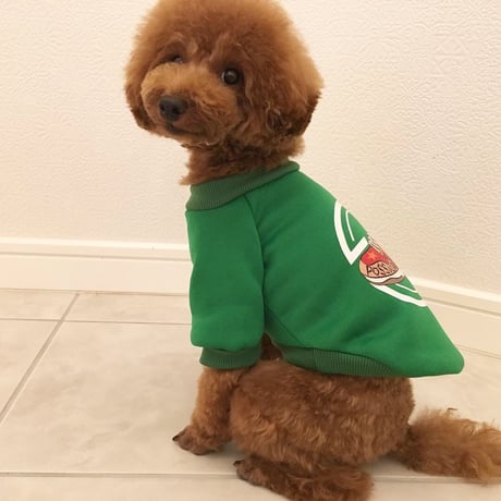 スニーカートレーナー　グリーン