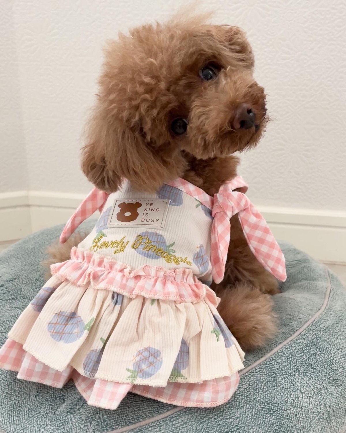 2008年　スウィートラブリーワンピース 2008年 スウィートラブリーワンピース スーパービューティー ロング