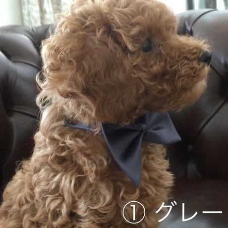 リボン　蝶ネクタイ
