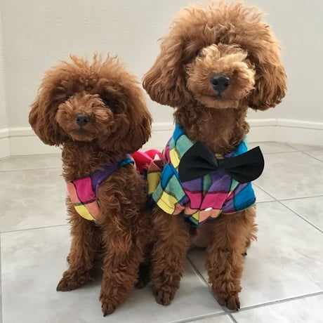 モザイクチェック　ワンピース