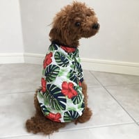 パルムリーフシャツ　グリーンネイビー