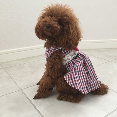 チェックリボンワンピース　レッド