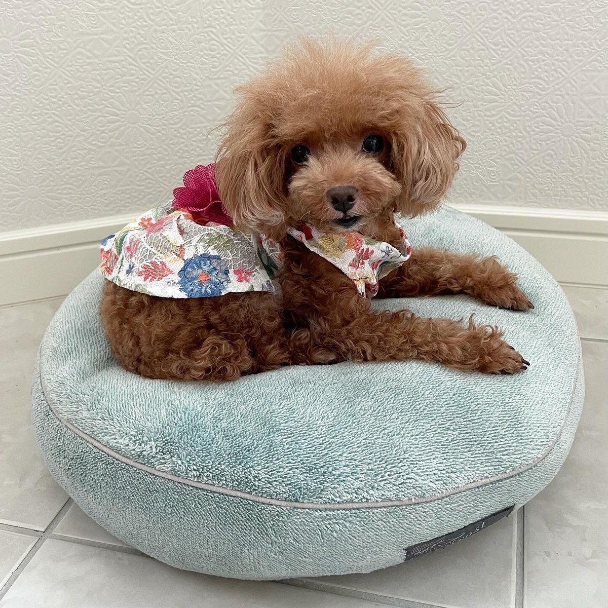 刺繍フラワープリントワンピース | ロージーのお部屋