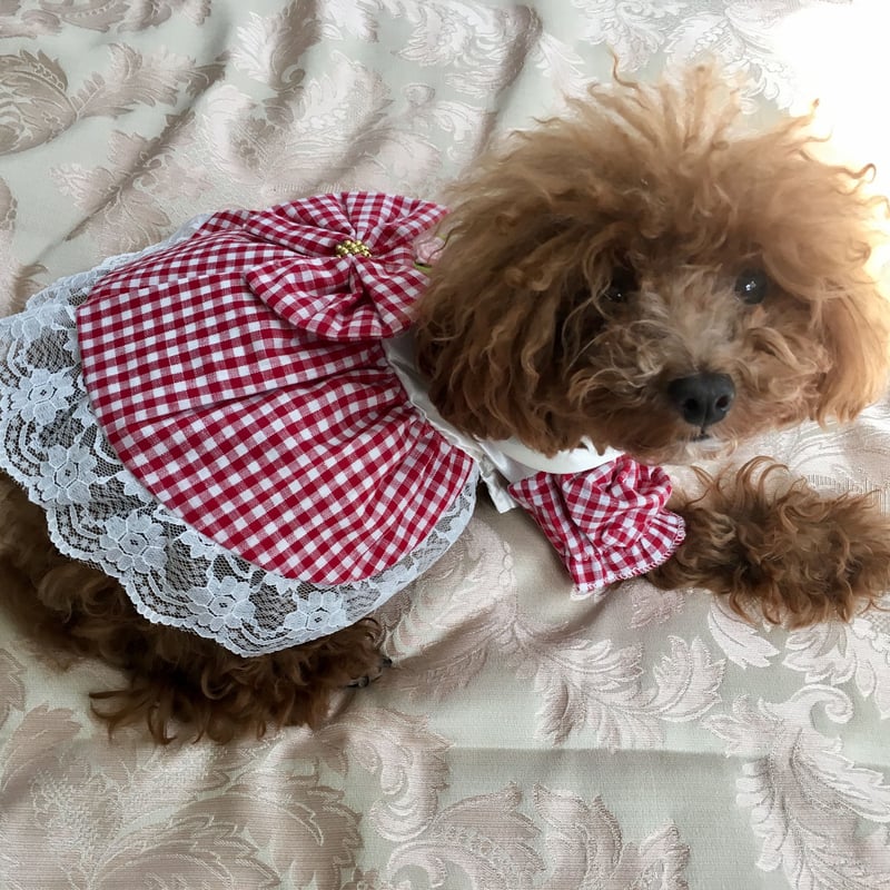 ギンガムチェック ワンピース ピンク | ロージーのお部屋