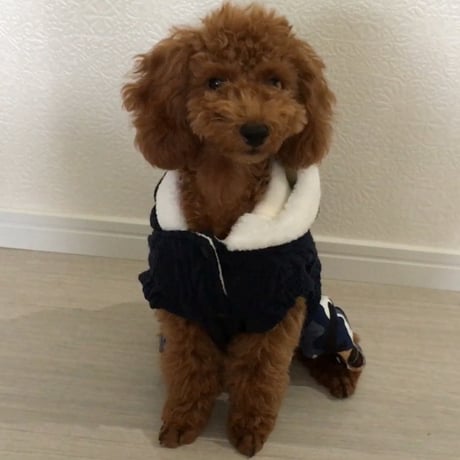 ニットパーカー　迷彩ズボン　ブルー