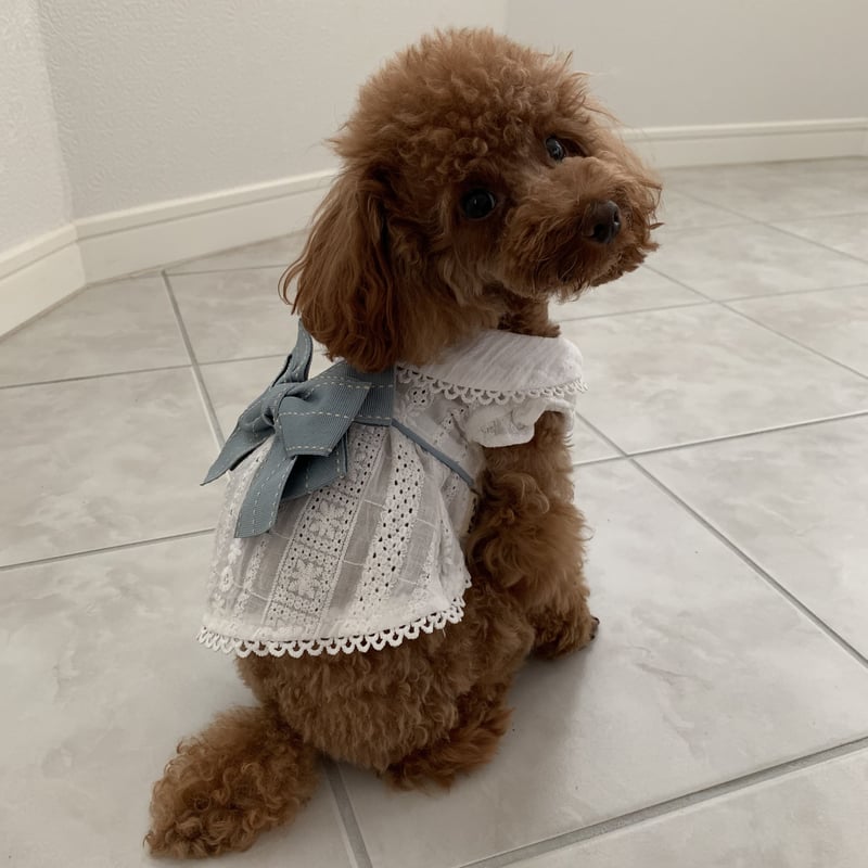 BUBBLES リボンデニムワンピース 新作 ホワイト S BUBBLES リボンデニムワンピース 新作 ホワイト S ONEPIECE