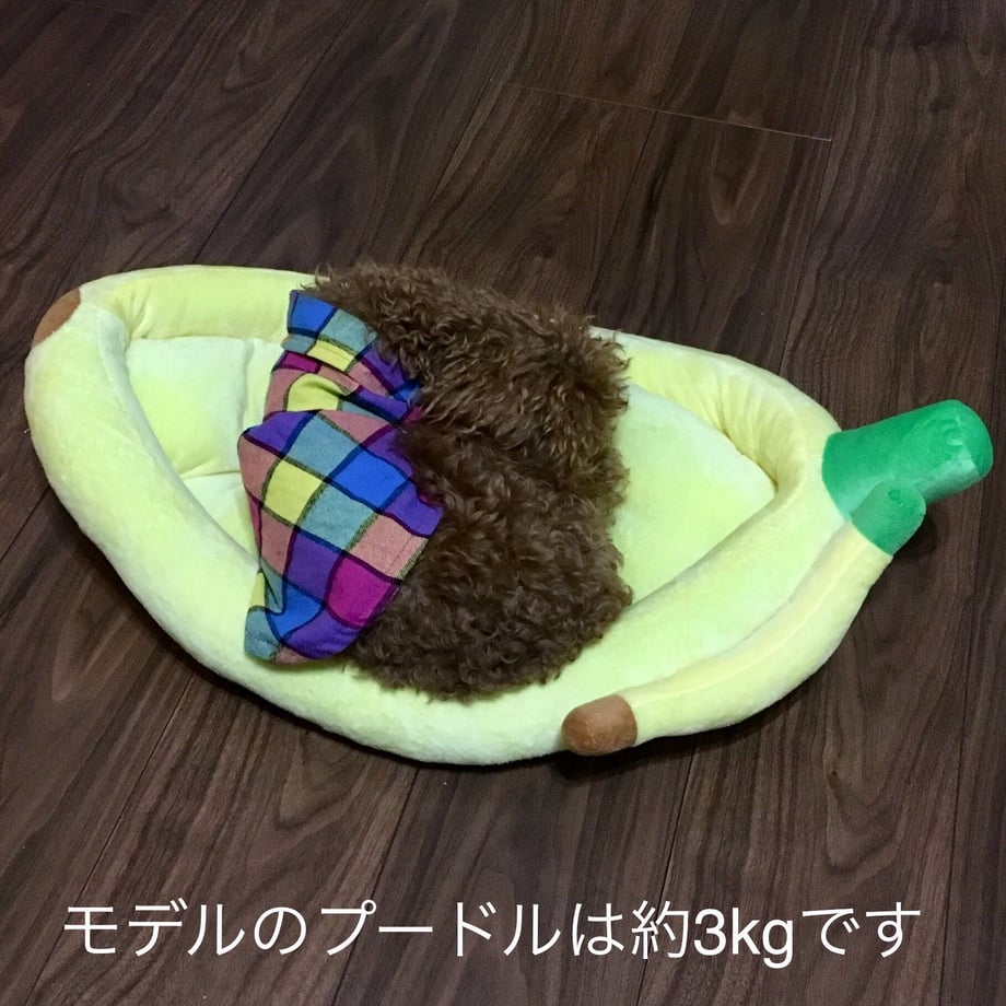5a8860bdf22a5b4315003835