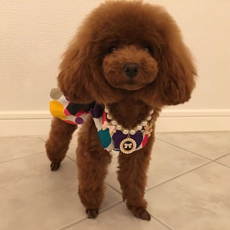 ポルカドットワンピース