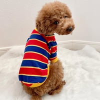 ボーダーシャツ　レッドブルーイエロー