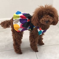ポルカドットワンピース