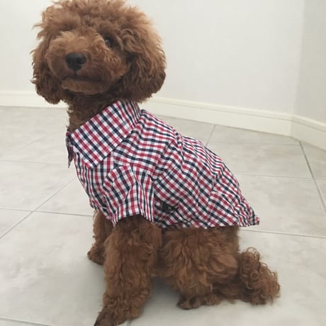 チェックリボンシャツ　レッド