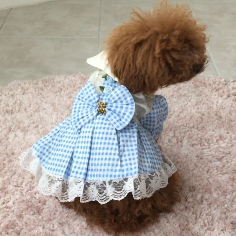 ギンガムチェック ワンピース ピンク | ロージーのお部屋