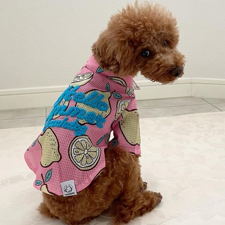 Hello Summer Touchdog レモンシャツ　ピンク