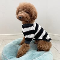 ボーダーシャツ　ブラック＆ホワイト