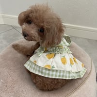 Lovely Pineapple ラブリーパイナップルワンピース　グリーン