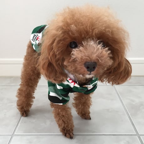 迷彩パーカー　Dogbaby　グリーン
