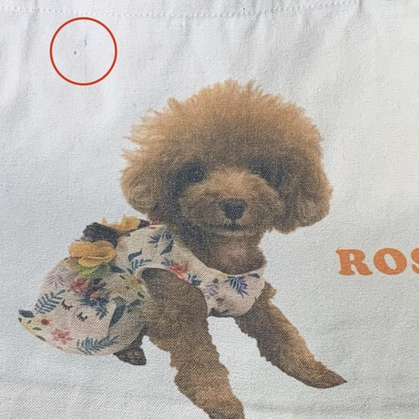 【チャリティー】ロージーエコバッグ　フローラルワンピース