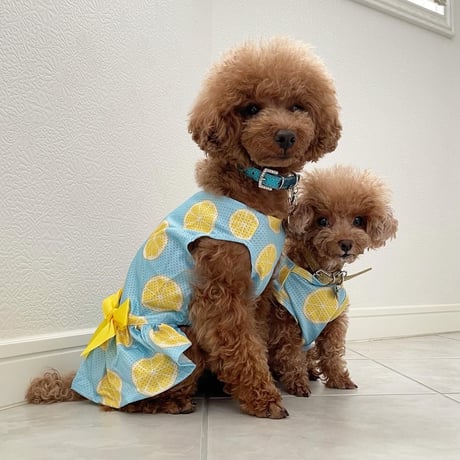 メッシュレモンワンピース