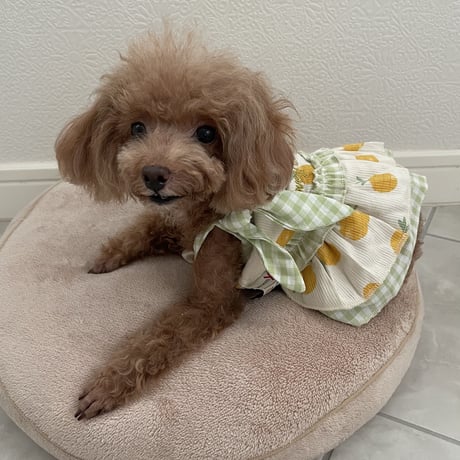 Lovely Pineapple ラブリーパイナップルワンピース　グリーン