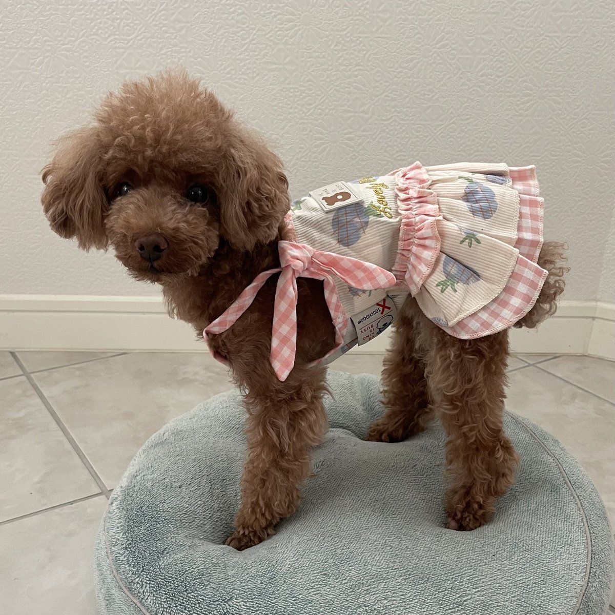 Lovely Pineapple ラブリーパイナップルワンピース ピンク | ロージー