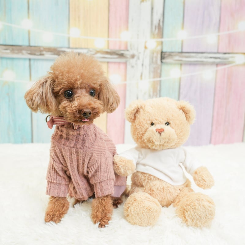 タートルネックニットチュールワンピース ピンク | ロージーのお部屋 