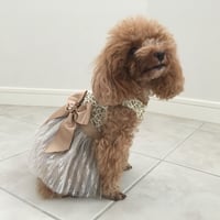 レースリボンワンピース  ゴールド