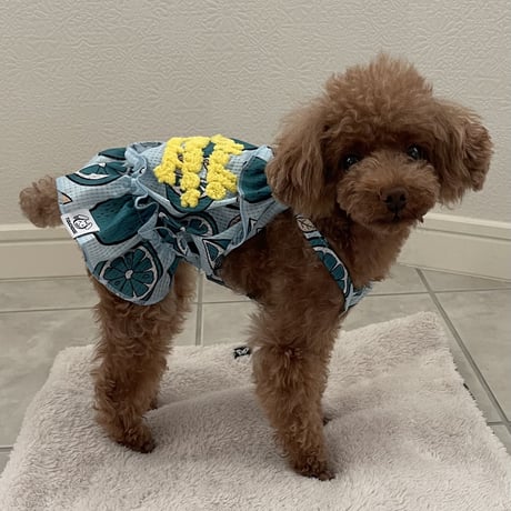 Hello Summer Touchdog レモンワンピース　ベージュ