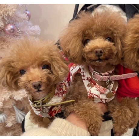 クリスマスベルドレス　ボルドー