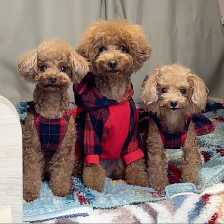 タータンチェックリボンワンピース  レッド＆ネイビー