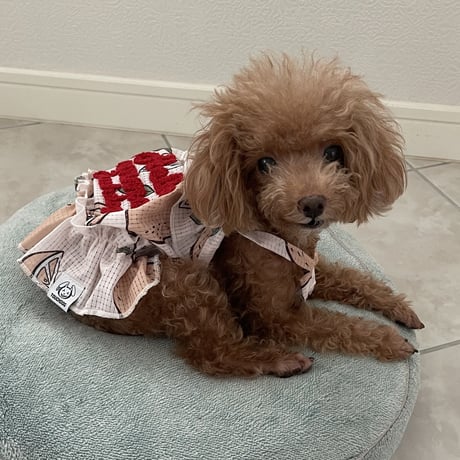 Hello Summer Touchdog レモンワンピース　ベージュ