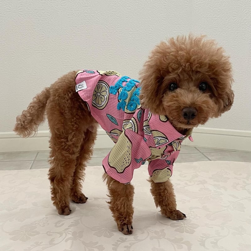 新品タグ付◆ヘルシーデニム　別注　ビッグシャツ　ピンク　今季　完売　ストレッチ アウトレット】Hello Summer Touchdog レモンシャツ ピンク L