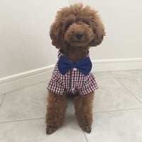 チェックリボンシャツ　レッド