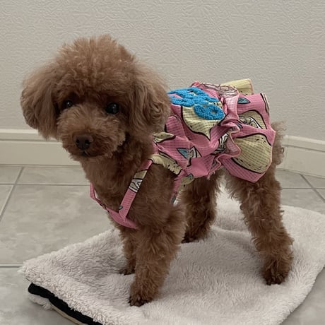 Hello Summer Touchdog レモンワンピース　ベージュ