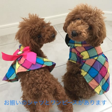 モザイクチェック　ワンピース