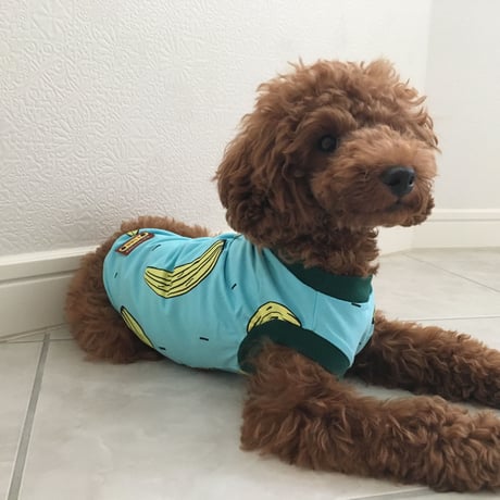 バナナシャツ　ブルー