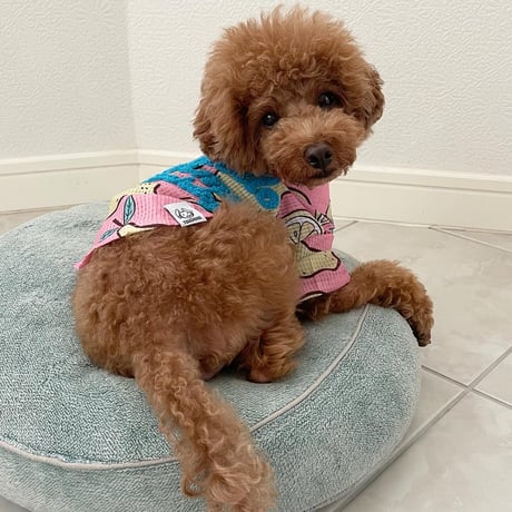 【アウトレット】Hello Summer Touchdog レモンシャツ　ピンク　L