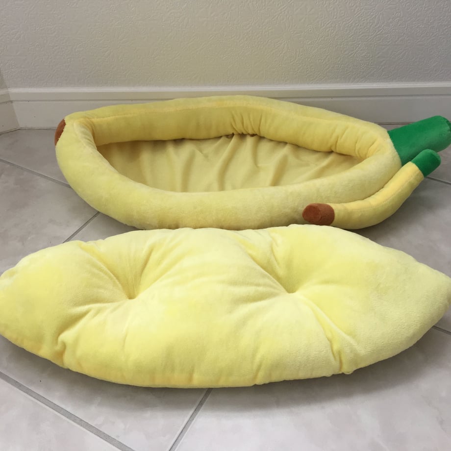 5a8860bdf22a5b4315003835