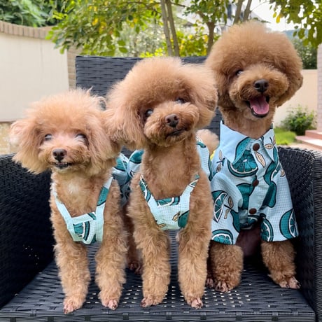 Hello Summer Touchdog レモンワンピース　ブルー