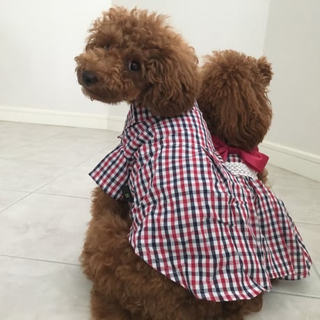 チェックリボンシャツ　レッド