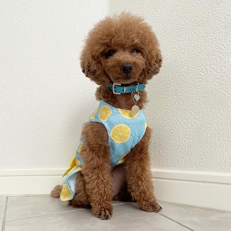 メッシュレモンワンピース