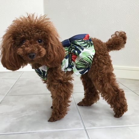 パルムリーフワンピース　グリーンネイビー