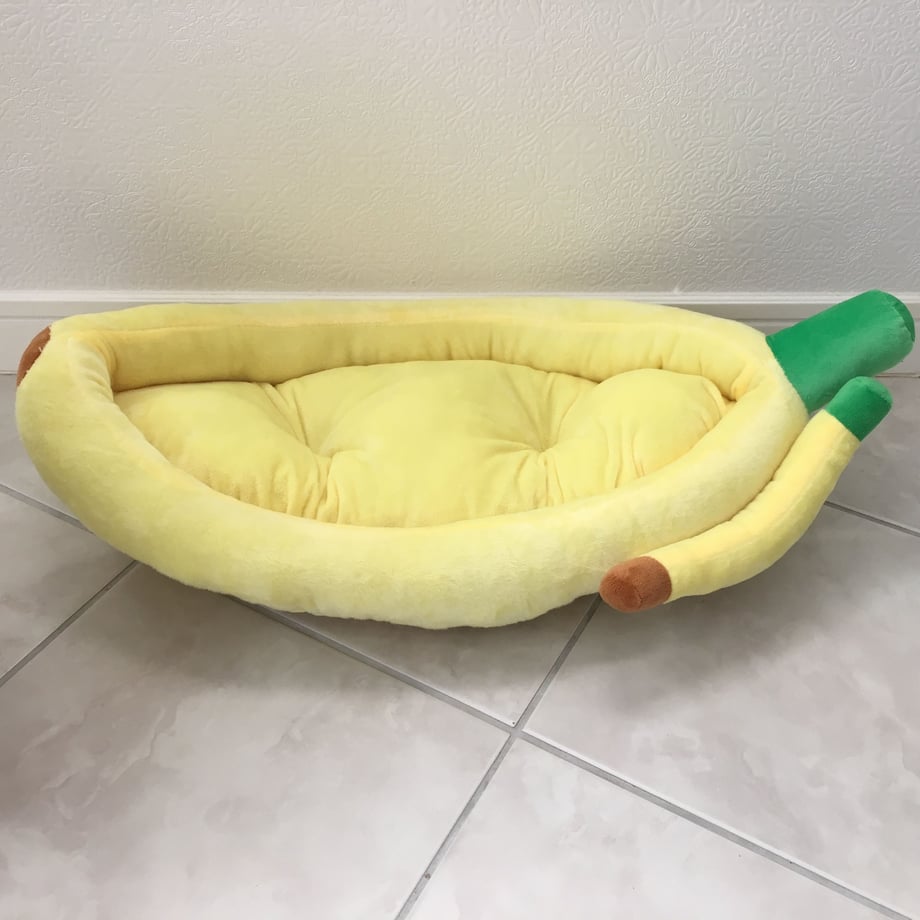5a8860bdf22a5b4315003835