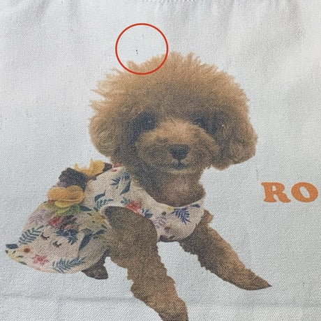 【チャリティー】ロージーエコバッグ　フローラルワンピース