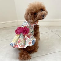 刺繍フラワープリントワンピース