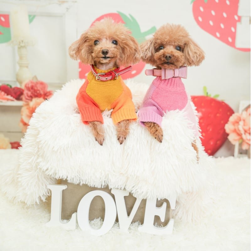 ブロックセーター オレンジ | ロージーのお部屋