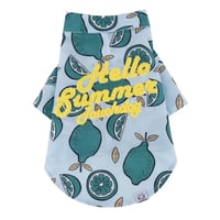 Hello Summer Touchdog レモンシャツ　ブルー