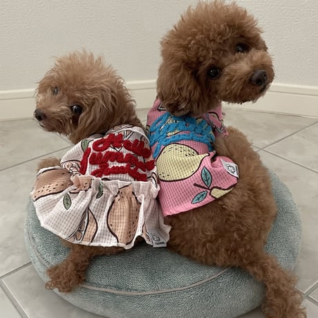 Hello Summer Touchdog レモンワンピース　ベージュ