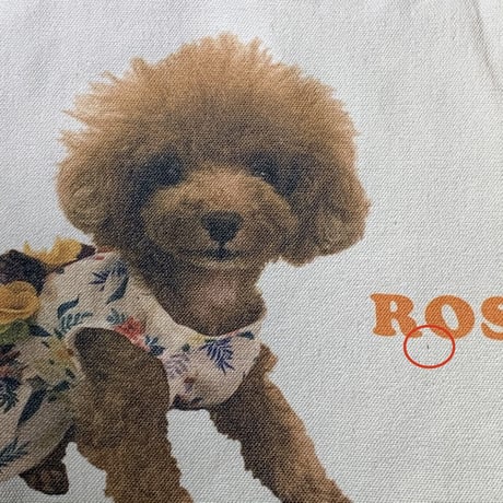 【チャリティー】ロージーエコバッグ　フローラルワンピース