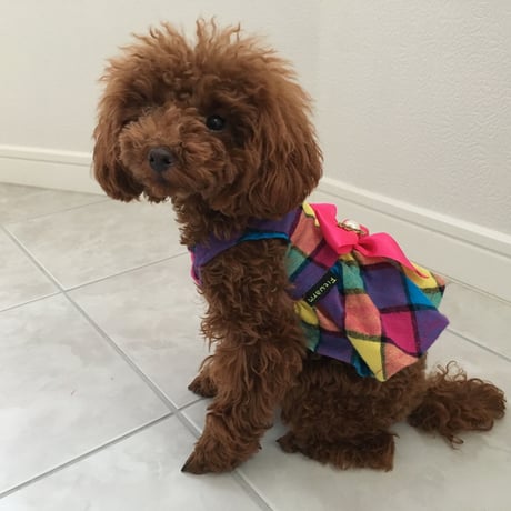 モザイクチェック　ワンピース