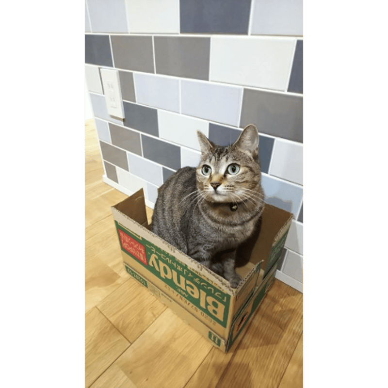 BENT BE-200(blue white) | 杉浦製陶株式会社